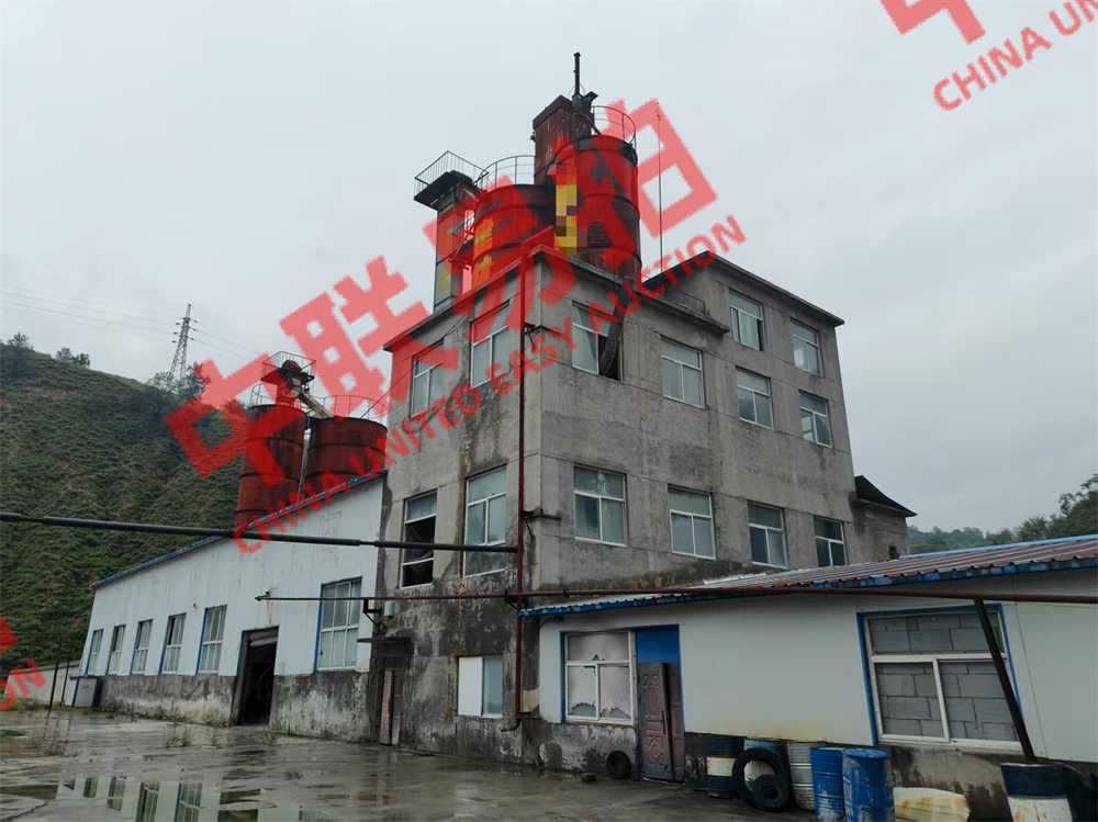 https://biao-img.oss-cn-beijing.aliyuncs.com/biaodiimg/20250919/w1756882700-3.jpg