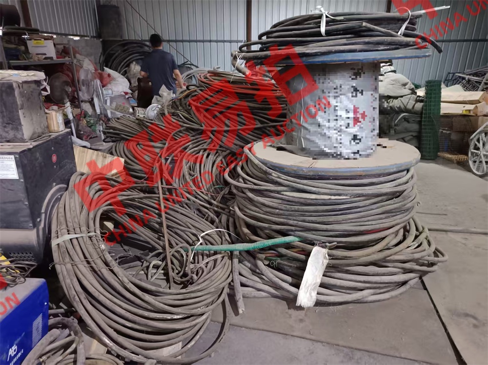 https://biao-img.oss-cn-beijing.aliyuncs.com/biaodiimg/20250919/w1756882734-11.jpg
