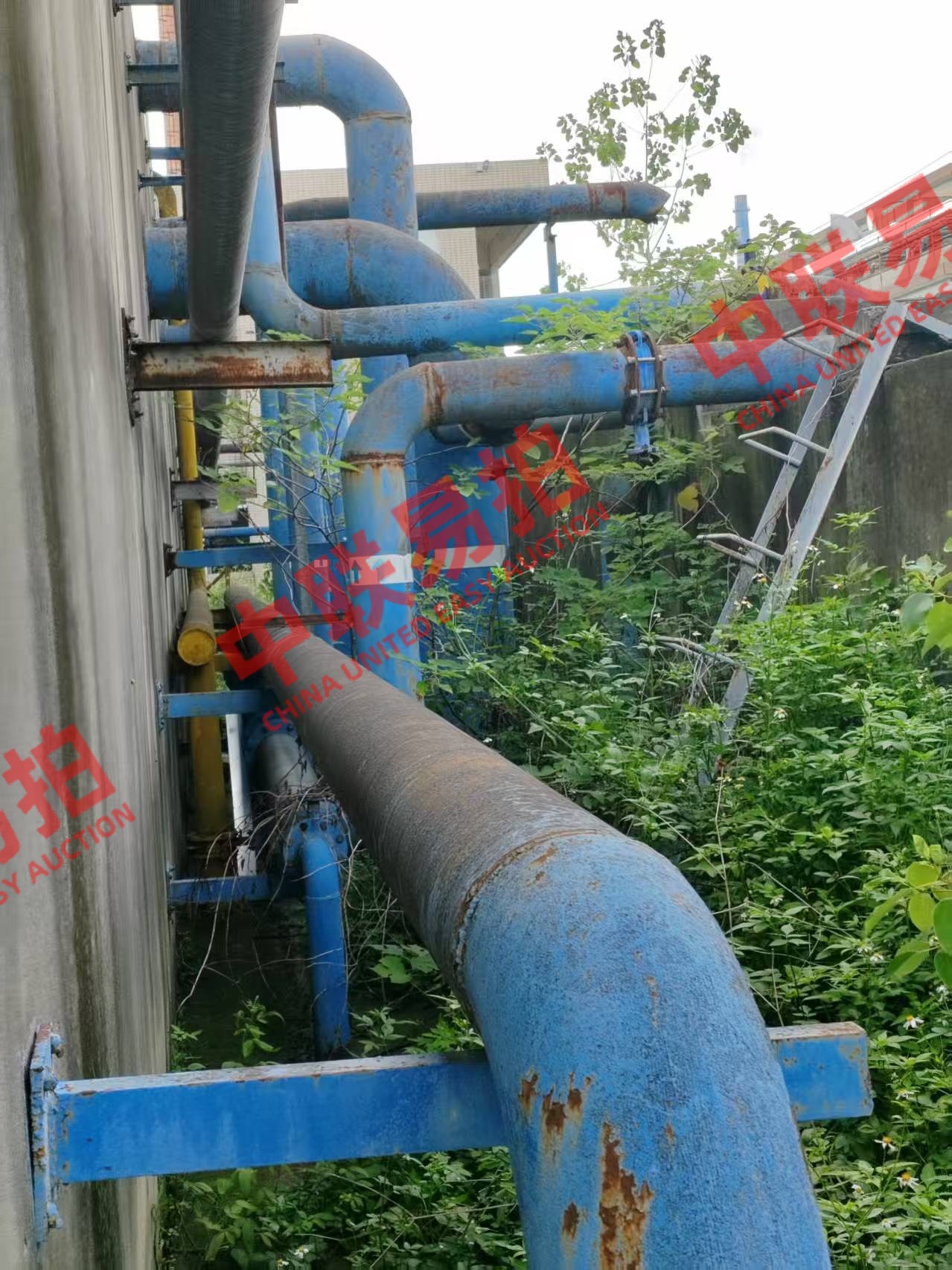 https://biao-img.oss-cn-beijing.aliyuncs.com/biaodiimg/20250919/w1757904741-%E5%BE%AE%E4%BF%A1%E5%9B%BE%E7%89%87_20250915102654_16_80.jpg