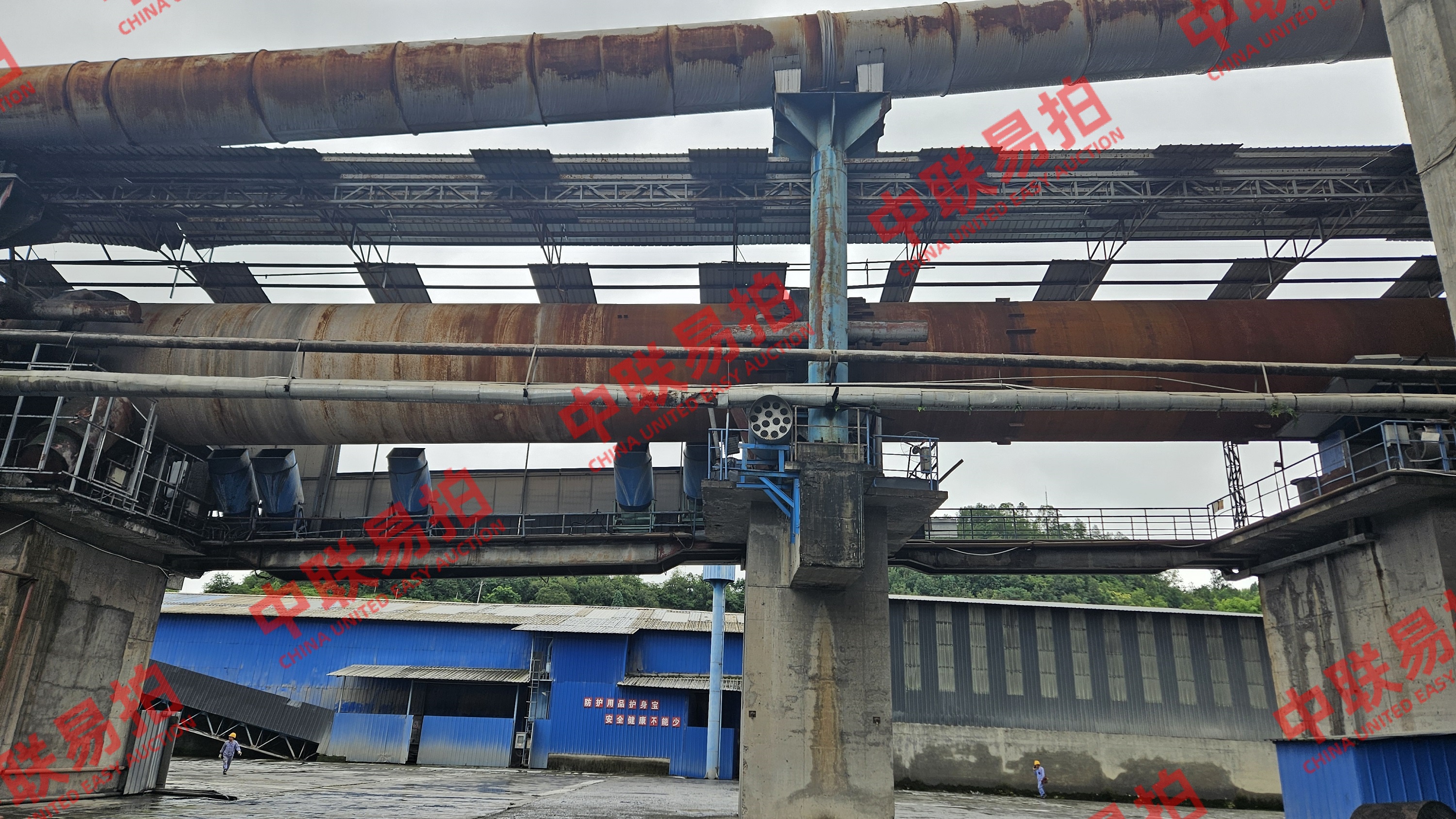 https://biao-img.oss-cn-beijing.aliyuncs.com/biaodiimg/20251009/w1758779887-06.jpg