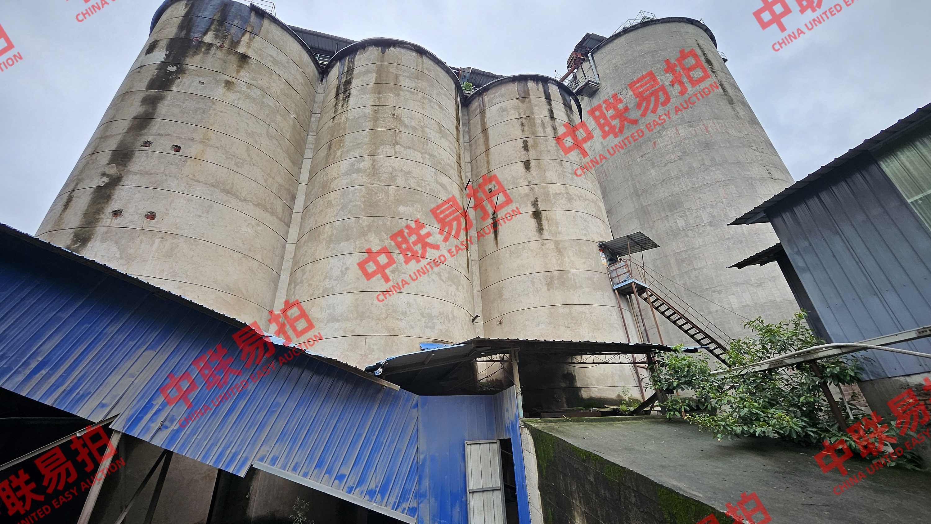 https://biao-img.oss-cn-beijing.aliyuncs.com/biaodiimg/20251009/w1758779887-07.jpg
