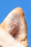 https://biao-img.oss-cn-beijing.aliyuncs.com/biaodiimg/20260819/17871248936a855c9ddaec2.png