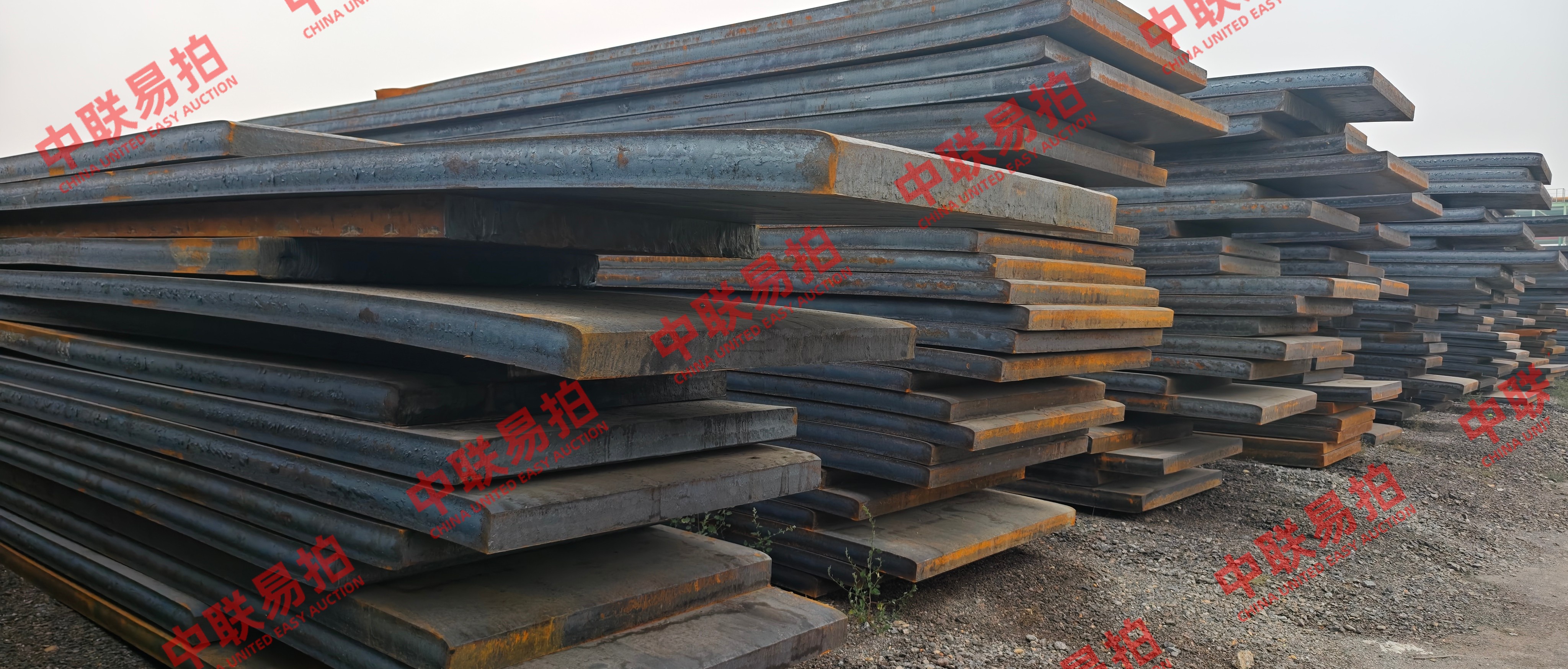 https://biao-img.oss-cn-beijing.aliyuncs.com/biaodiimg/w1727681070-5%281%29.jpg